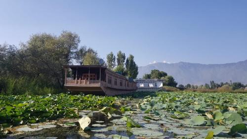 Nagin Bagh Hotel | Kings Houseboats