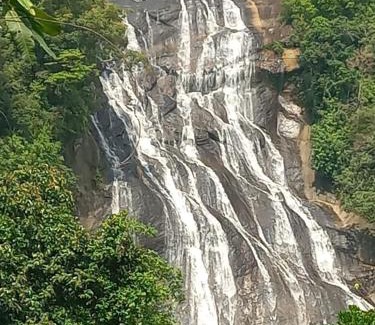 Pelmadulla Hotel | Kirindi Ella Eco Resort