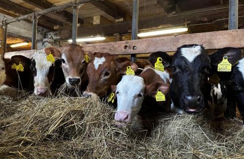 Aich Casa | Klöckhof