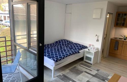 Bad Wildbad Apartamento | Kleines Einzimmer-Apartment 23