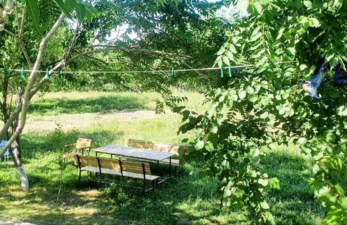 Nurata District Casa | Komil`s homestay in Sentyab village