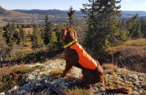 Svingvoll Cabina | Koselig familiehytte sentralt på Skeikampen til leie