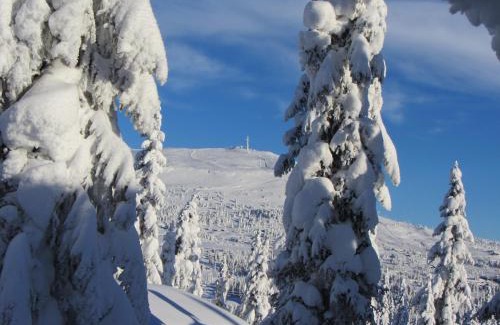 Svingvoll Cabina | Koselig familiehytte sentralt på Skeikampen til leie