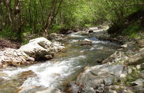 Andrijevica Cama Y Desayuno | Kraljska koliba - Kralje's Cottage