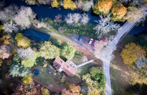 Asarum Otro | Långasjönäs Camping & Stugby