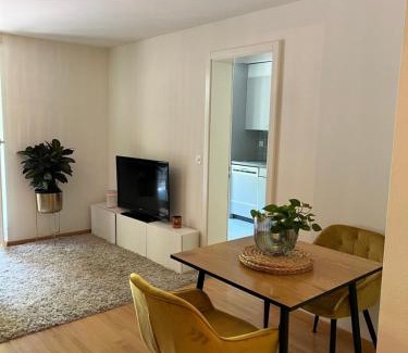 Lucerne Apartamento | Löwen