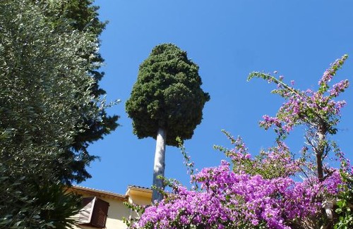 L'Escarene Cama Y Desayuno | L'Origane