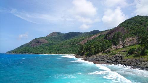 Silhouette Island Cabina | La Belle Tortue
