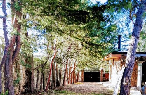 Ruidera Casa | La Cabaña de Piedra