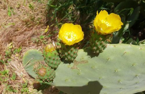 Campanedda Casa | La Cantoniera