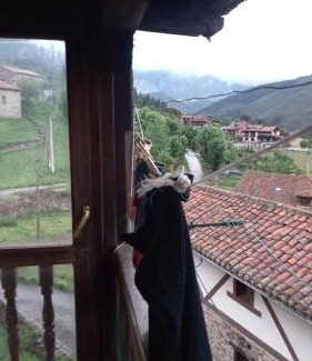 Frama Apartamento | La casa de los gatos