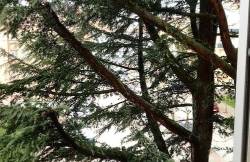 Burgos Apartamento | La casa de Mercedes