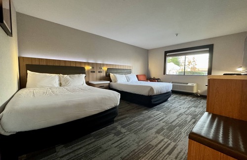Modesto Hotel | La Casa Modesto, Ascend Hotel Collection