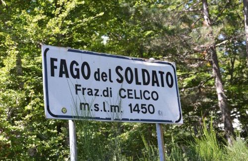 Celico Cabina | La casa nel bosco