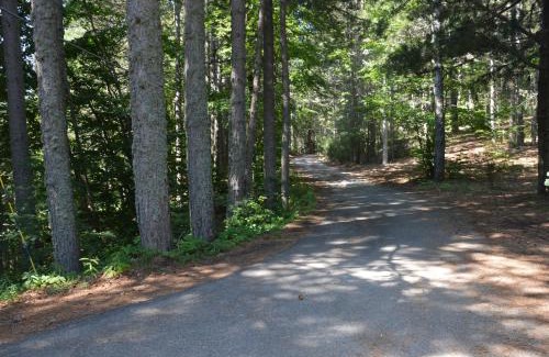 Celico Cabina | La casa nel bosco