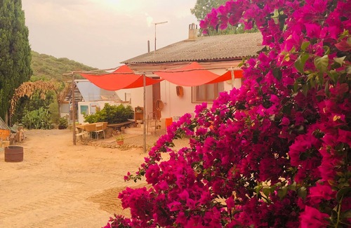 Quartu Sant'Elena Casa | La Casina Rurale In Our Garden