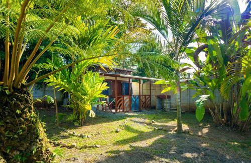Manzanillo Apartamento | La Casita Cozy Beachfront Cottage with Shared Pool Access