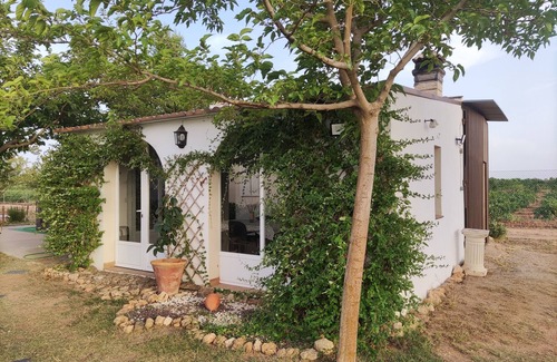 Socuéllamos Chalet De Esquí | La Casita de los Almendros