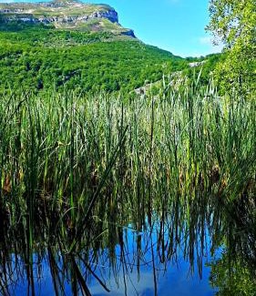 Arredondo Casa | La Casuca Nandin