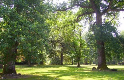 Mano Casa | La cheneraie