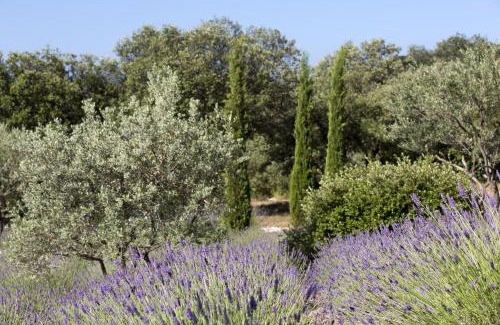 Saint-Saturnin-les-Apt Hotel | La Clé des Champs, Boutique hôtel & Spa - Le Mas de Garrigon