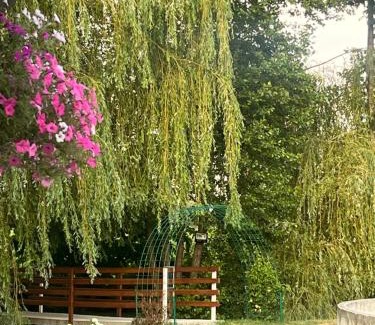 Voila Casa | La Izvoare Pensiune-Păstrăvărie