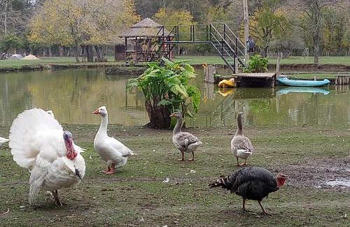 Presidente Derqui Apartamento | La Justina - Nuestro Campo