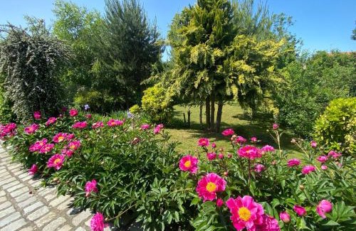 Lupcourt Casa | La Loupiote - Jacuzzi compris SANS supplément !