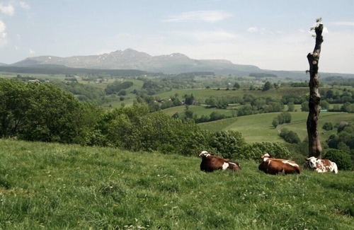 Tauves Casa | La Maçonnerie - Tauves