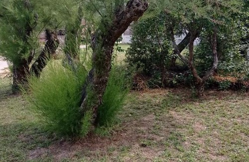 Nans-les-Pins Casa | LA MAISON DE PAPOU La Vigne A NANS LES PINS 83860