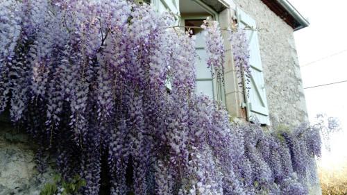 Creysse Casa | La petite maison de Clotilde