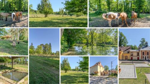 Saint-Augustin Villa | La Roseraie - Disney 30 minutes