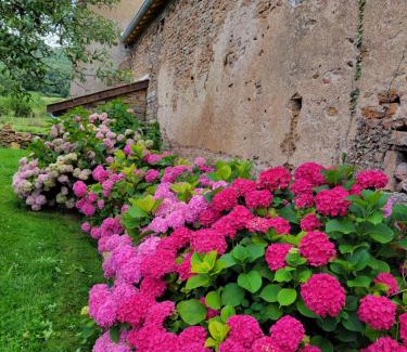 Etrigny Casa | La Saugeraie