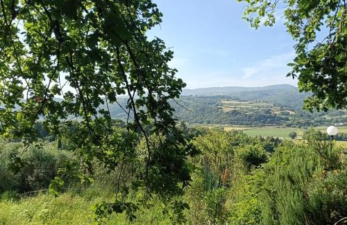 Montescudaio Apartamento | La tana del riccio