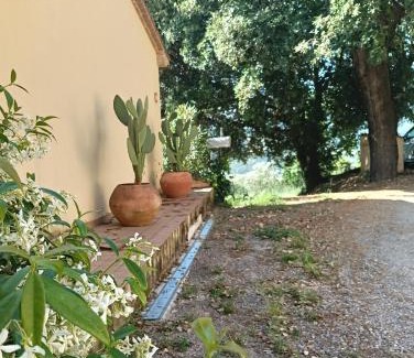 Montescudaio Apartamento | La tana del riccio