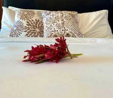 The Bight Apartamento | La Vista Azul Resort - Studio