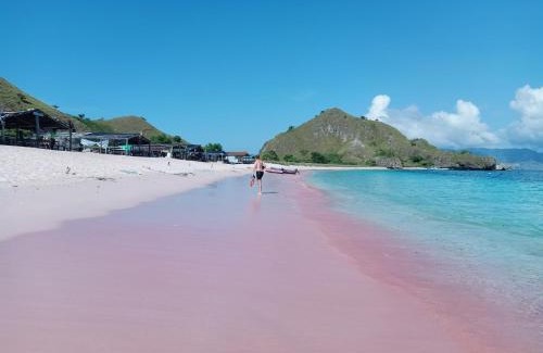 Labuan Bajo Alquiler De Eote | Labuan Bajo Boat Charter
