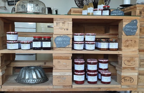 Lieg Apartamento | Relajación cerca del Mosela, puente colgante de cuerda Geierlay, castillo de Eltz, WiFi