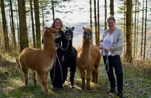 Langewiese Hotel | Landhotel Flora & Fauna