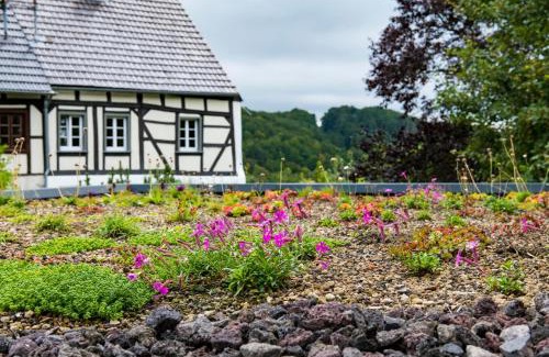Utzerath Casa | Landleben auf Zeit