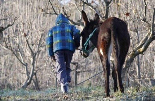 Horche Cabaña | La Chocolatería - Casa histórica con 2 espacios independientes y piscina privada