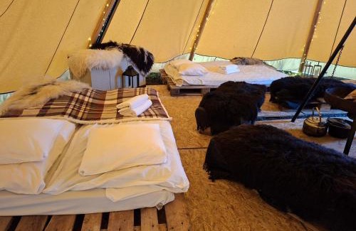 Narvik Otro | Lavvo på Angell Gjestegård