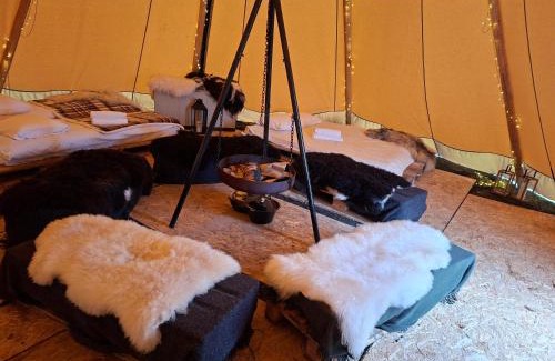 Narvik Otro | Lavvo på Angell Gjestegård