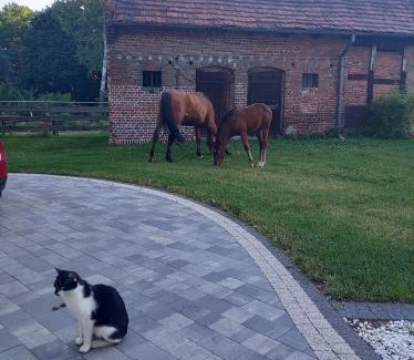 Murow Apartamento | Leśniczówka Grabczok