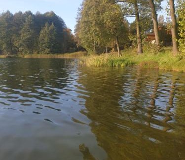 Gostycyn Villa | Leśny Azyl Bory Tucholskie