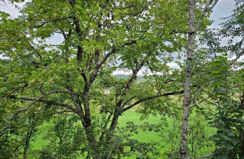 Montagudet Hotel | Le Belvédère Hotel et Bien être