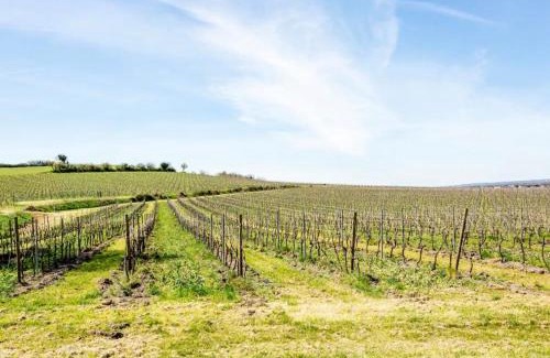 Segonzac Cama Y Desayuno | Le Cœur du Breuil
