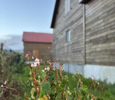 La Plaine-des-Palmistes Chalet De Esquí | Le Chalet Enchanté