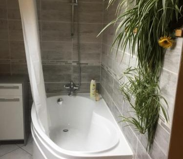 Fontaine-les-Clerval Cama Y Desayuno | Le Chanois