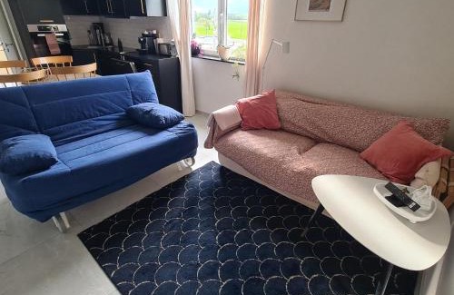 Village-Neuf Apartamento | Le Loft de Village-Neuf - Résidence 4 étoiles